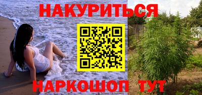 Альфа ПВП Краснознаменск